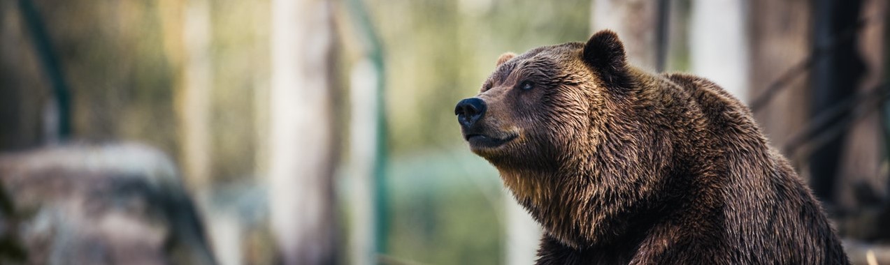 Медведи пытаются продавить эфир ниже $1600