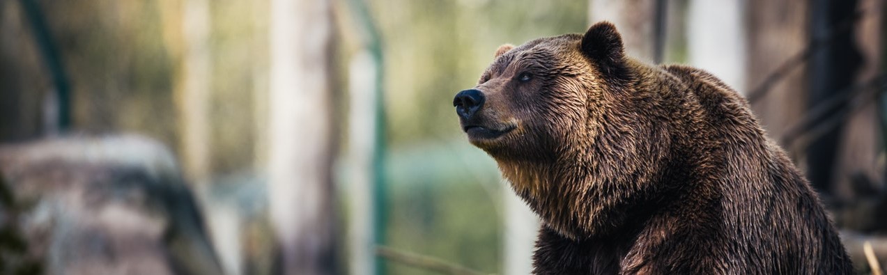 Медведи пытаются продавить лайткоин ниже $60