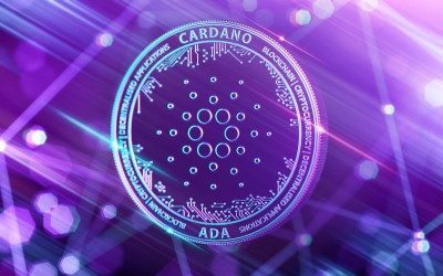 23 % des adresses Cardano n’ont pas déplacé de crypto-monnaie depuis cinq ans - La Crypto Monnaie
