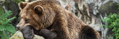Трейдеры: Рынок перешел под контроль медведей