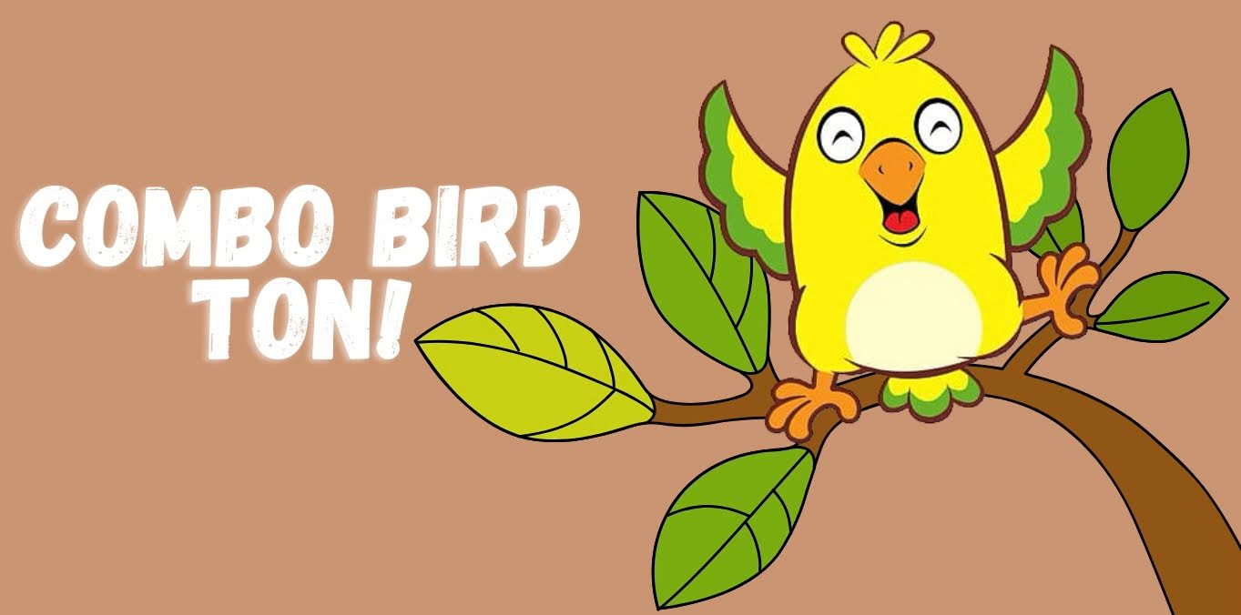 Обновление комбо Bird Ton 7 ноября