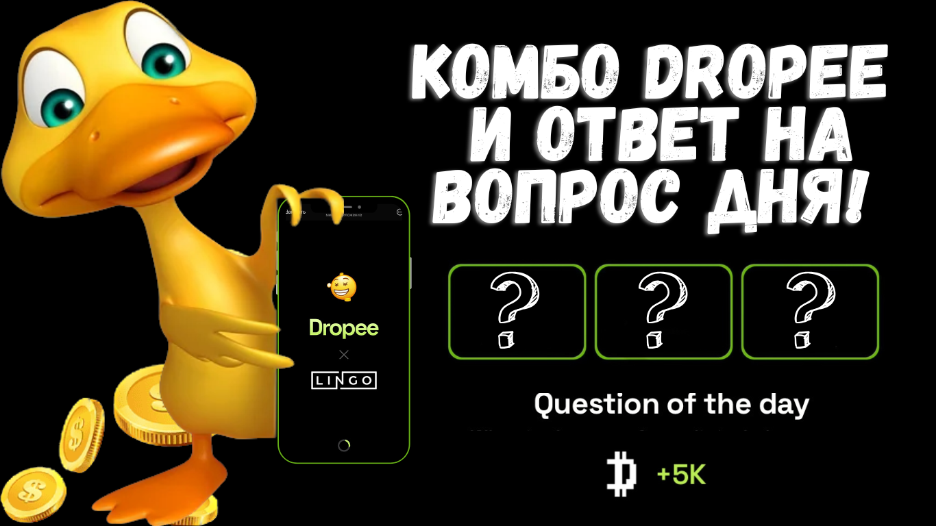 Dropee комбо 15 ноября