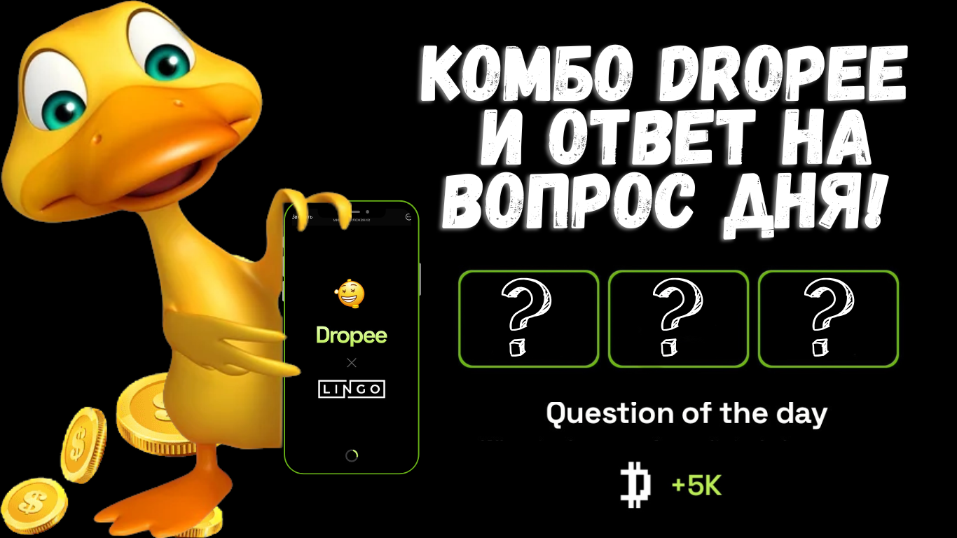 Dropee комбо сегодня