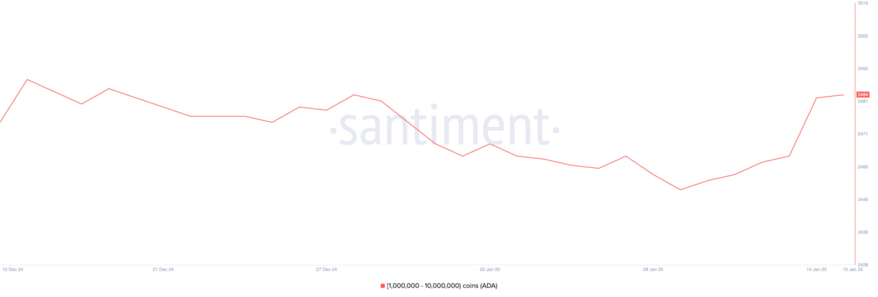 Cardano (ADA) bondit de 7 % alors que les grands investisseurs s'accumulent - La Crypto Monnaie