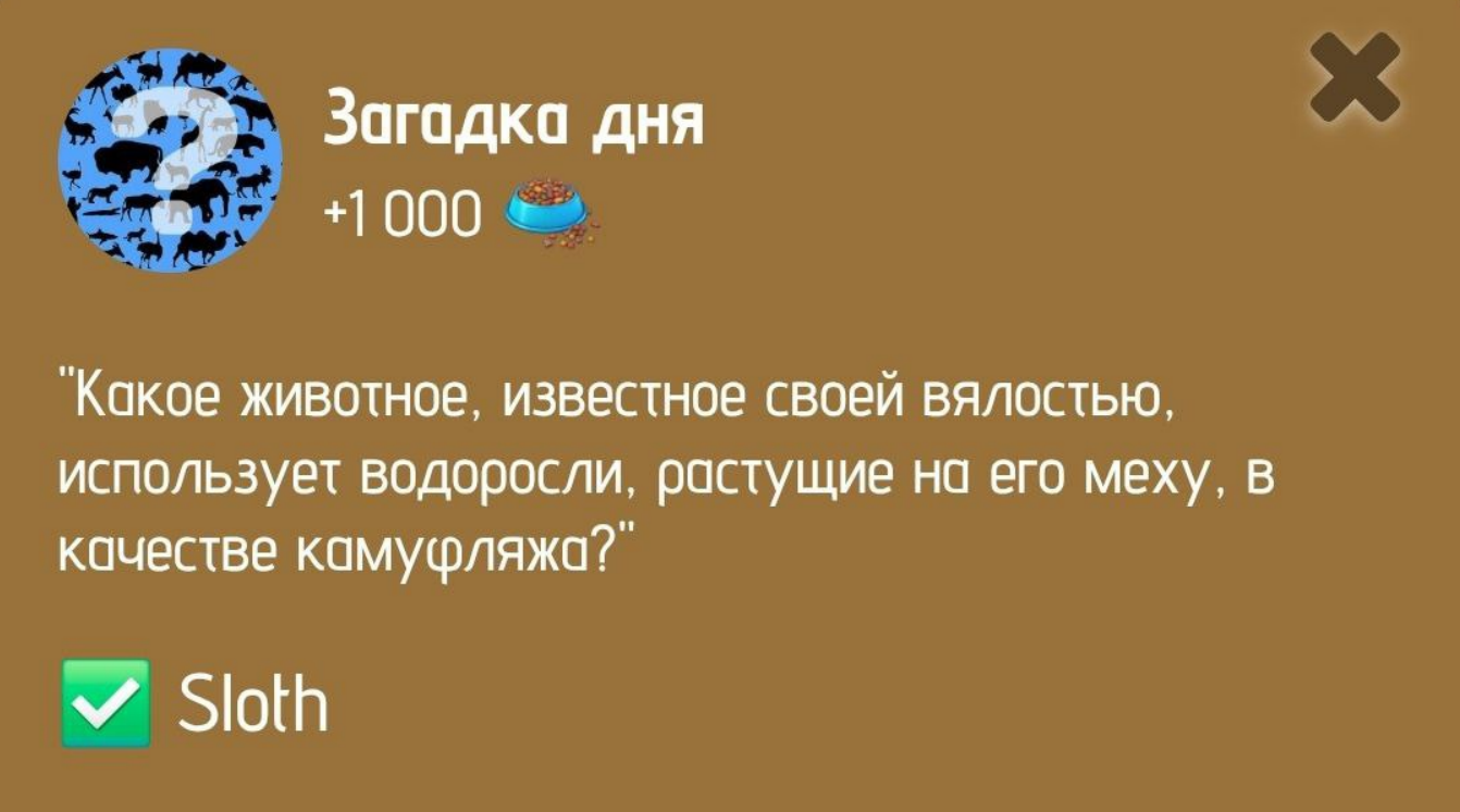 загадка дня Zoo