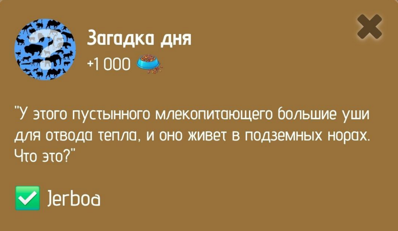 загадка Zoo 25.01