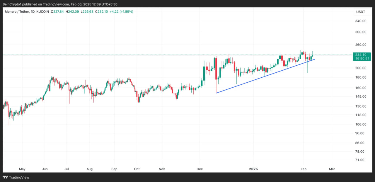 Monero (XMR) растет на 5%, опережая рынок: трейдеры уверены в росте