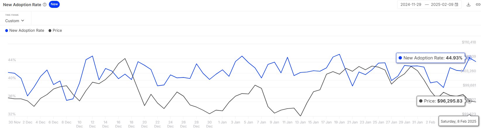 Bitcoin adoption rate