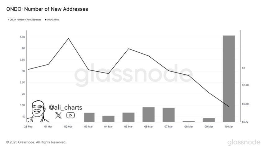 ondo-adresses-growth