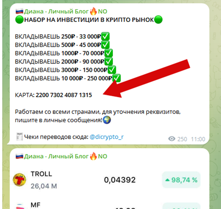 диана сафина