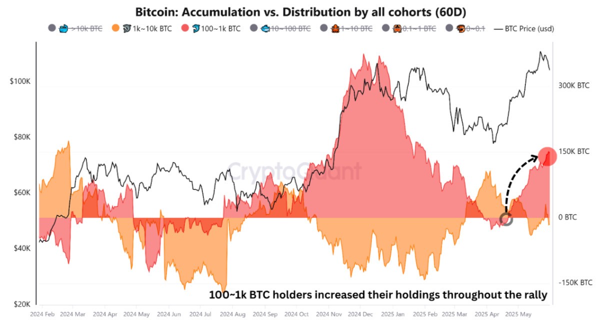 btc-whale-distribution-data