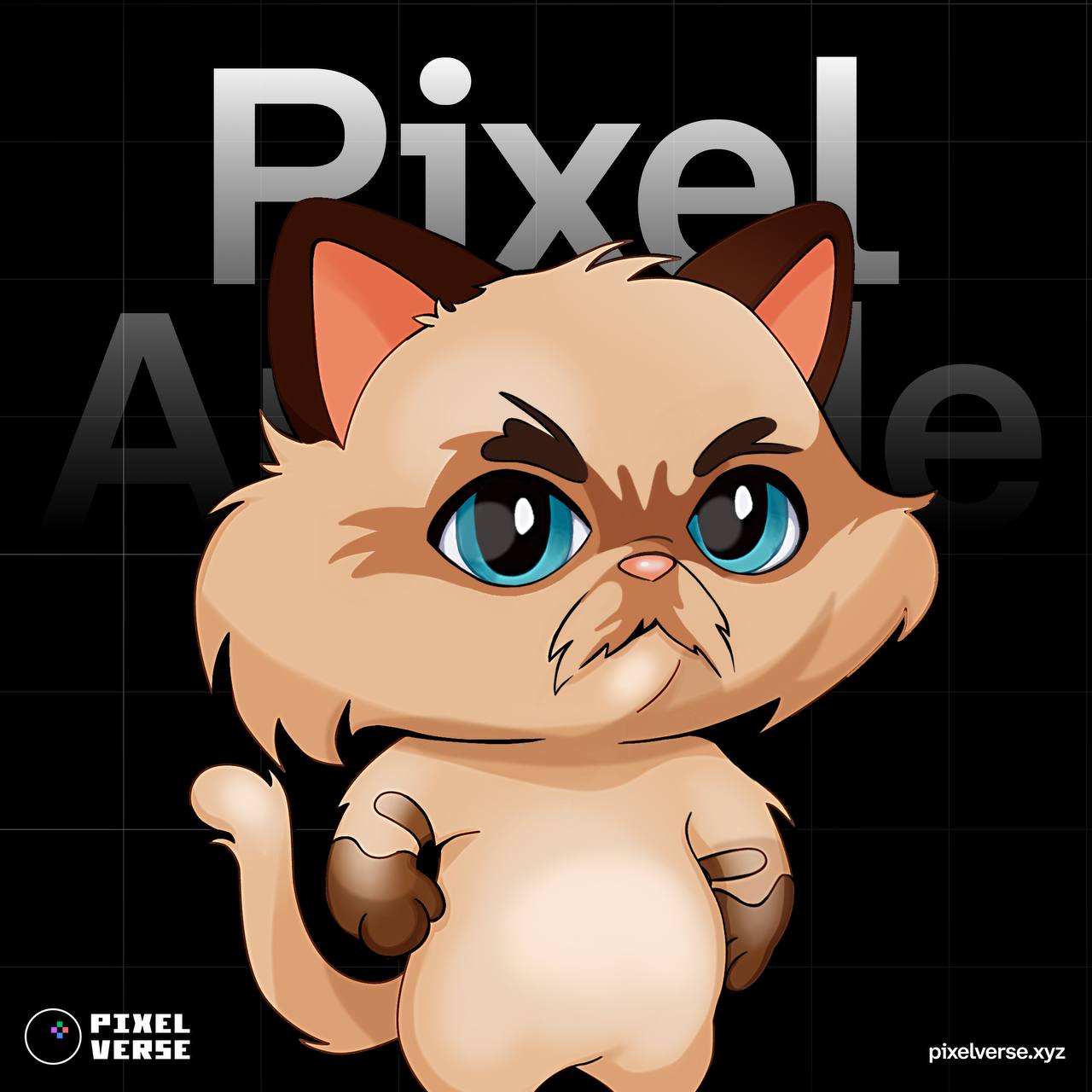 pixeltap by pixelverse daily combo 28 июля pixeltap by pixelverse daily combo 28 июля