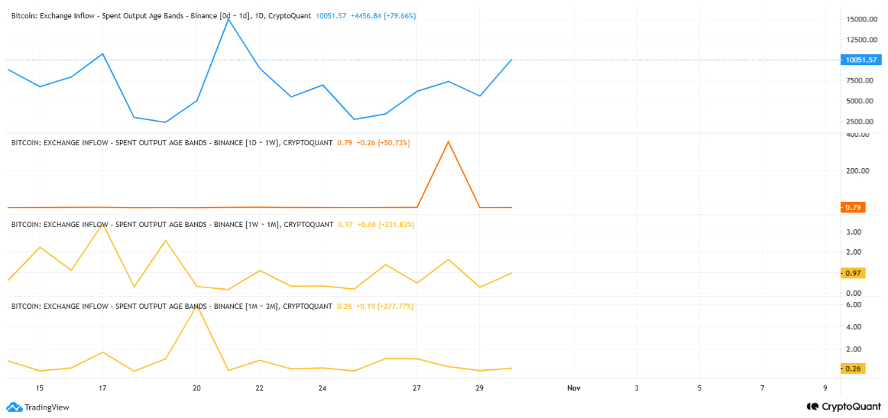 photo_1_2025-10-31_18-18-19 Активность торговли биткоином на Binance