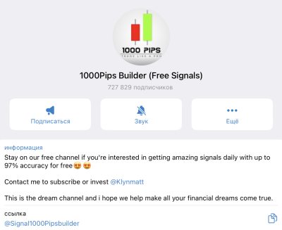 1000pips builder 1000pips builder