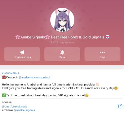 anabelsignals anabelsignals