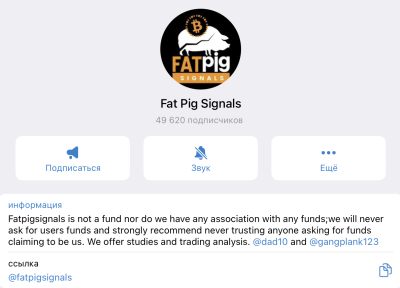 fat pig signals