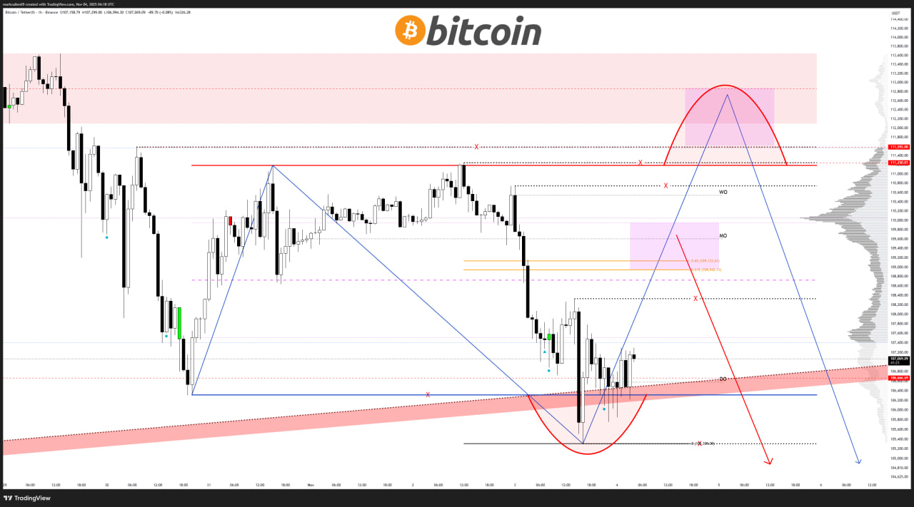 photo_4_2025-11-04_19-01-33 В то же время часть аналитиков ожидает агрессивную защиту уровня $100 000, считая, что текущая волатильность — часть широкой консолидации перед следующим импульсом.